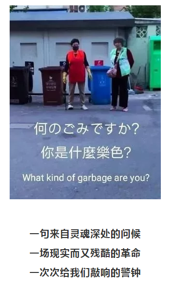 你被“垃圾分類”洗腦了嗎？揭秘強制分類背后的驚天秘密！-