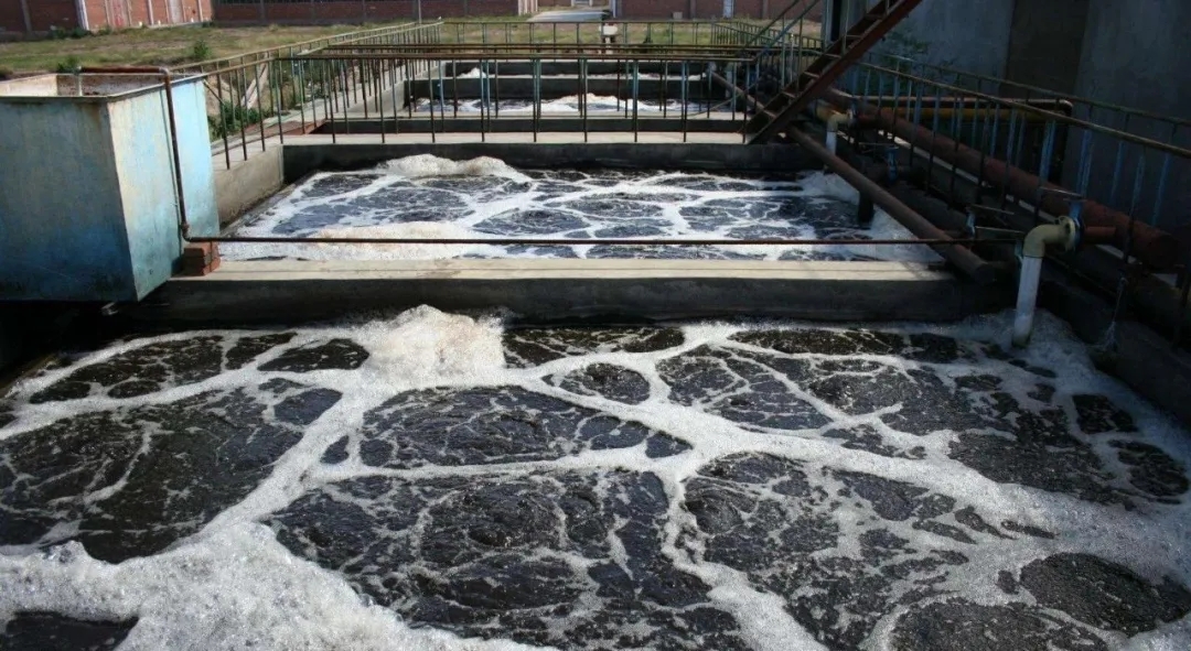 住建部：如何應(yīng)對新冠病毒從馬桶到水環(huán)境的潛在傳輸途徑？